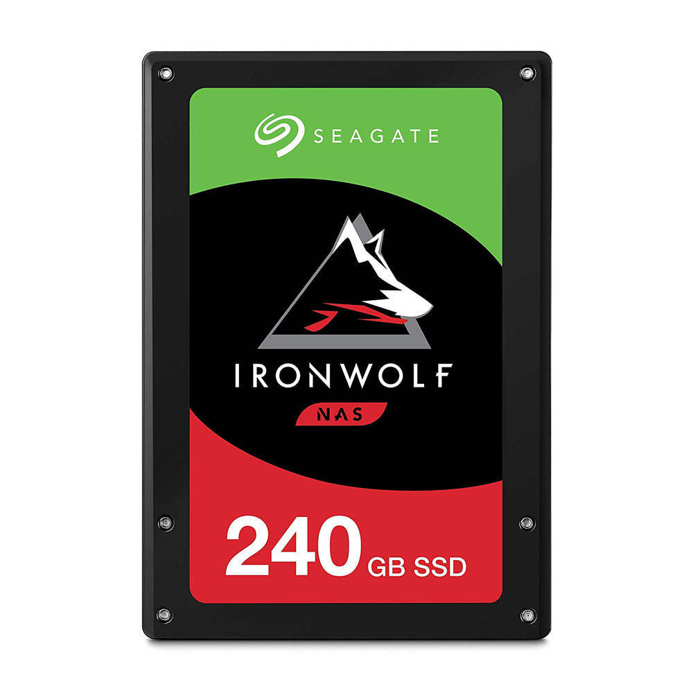Seagate IronWolf 110 - 240GB