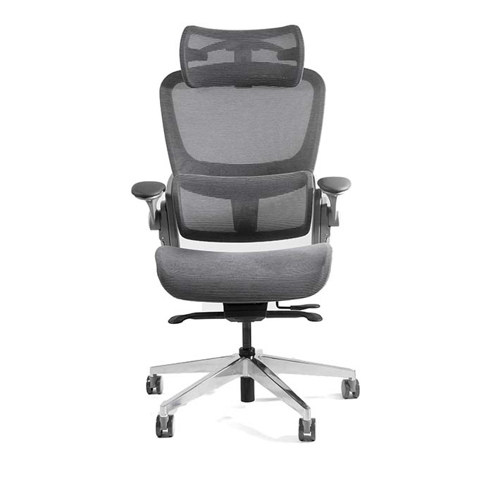 Epione Easy Chair SE - Cool Gray